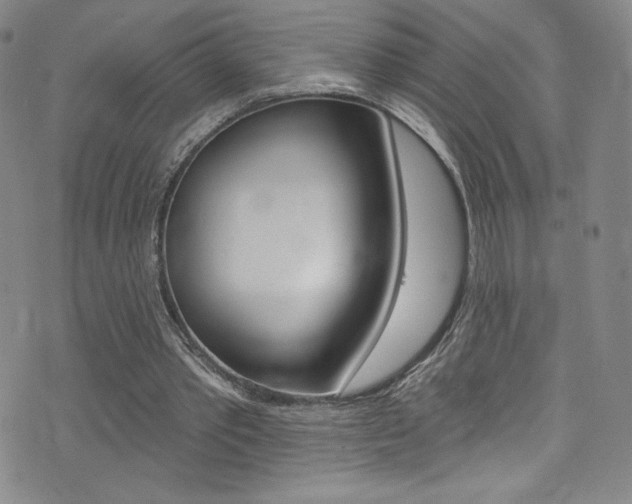 X0000072990389200607211036