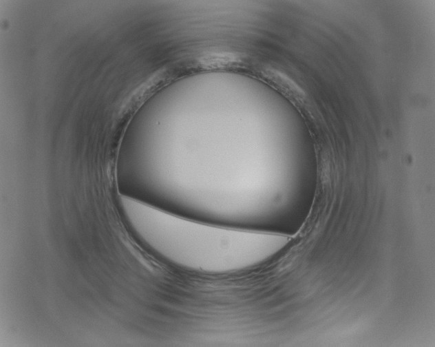 X0000072990405200607211036