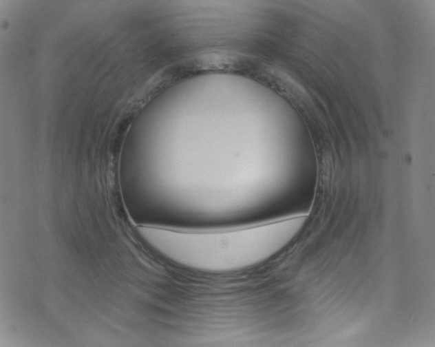 X0000072990413200607211036
