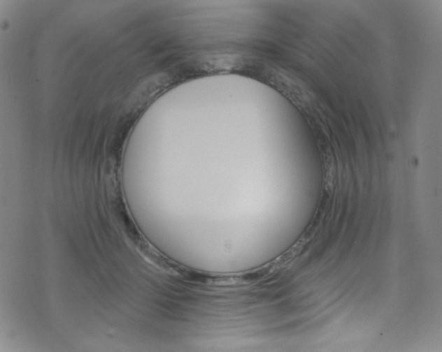 X0000072990414200607211036