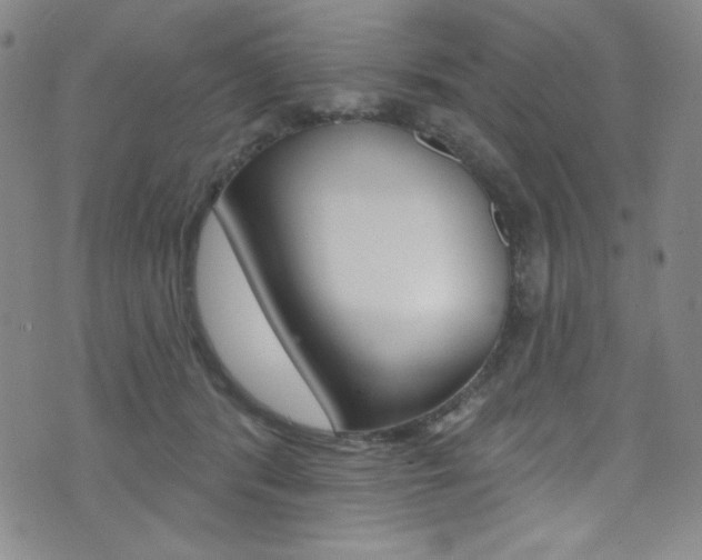 X0000072990416200607211036