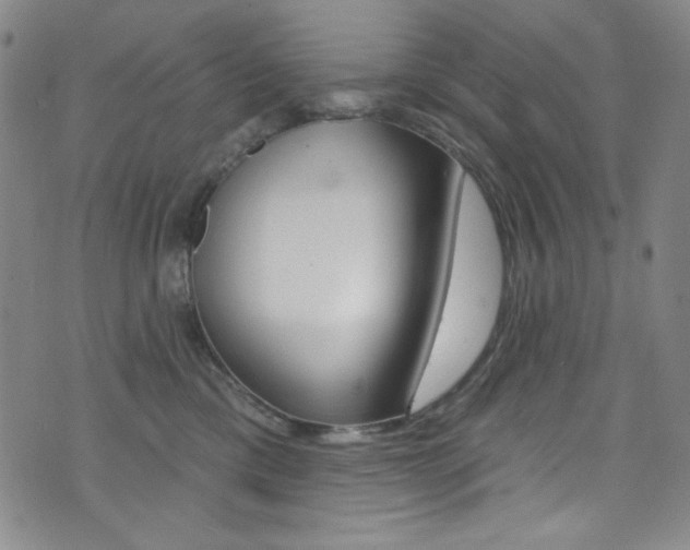 X0000072990425200607211036