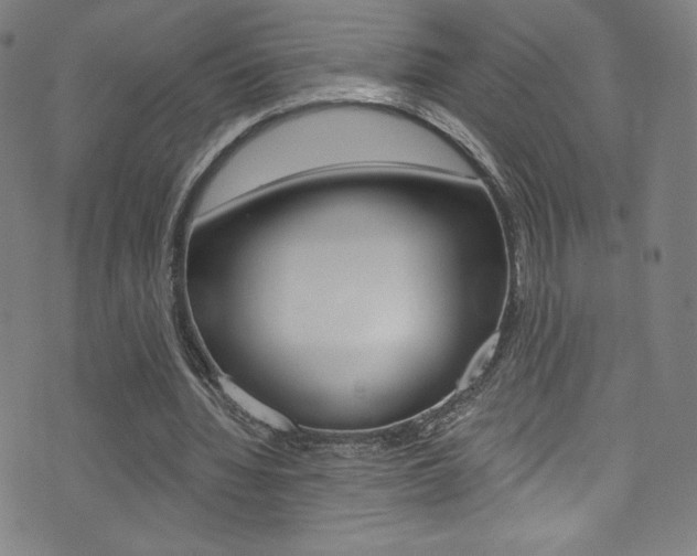 X0000072990436200607211035
