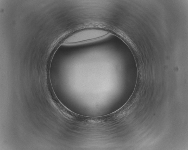 X0000072990442200607211035