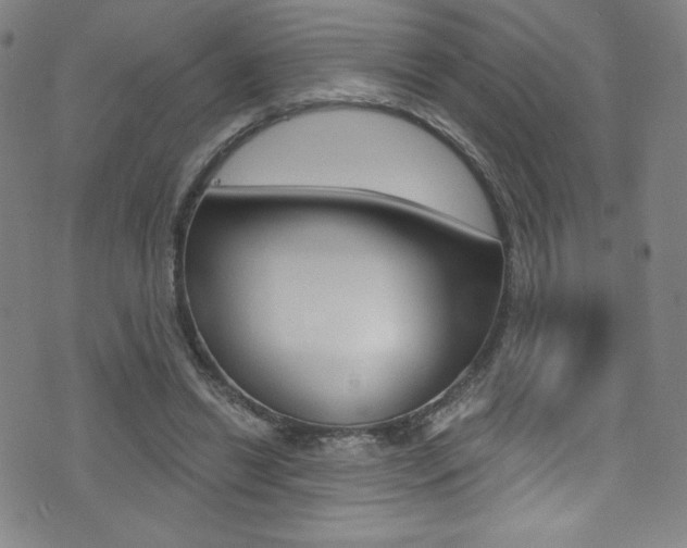X0000072990446200607211035