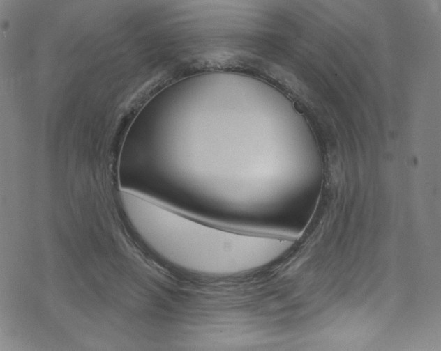 X0000072990450200607211035