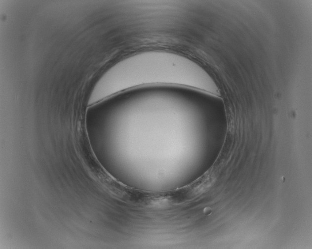 X0000072990456200607211035