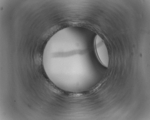 X0000072990476200607211035