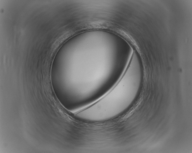 X0000072990481200607211035