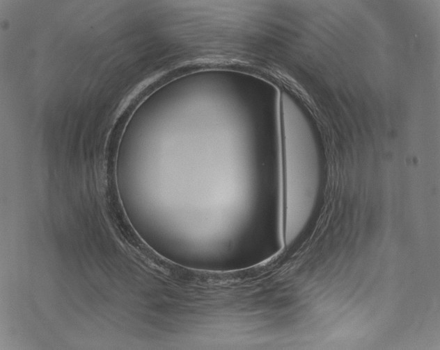 X0000072990484200607211035