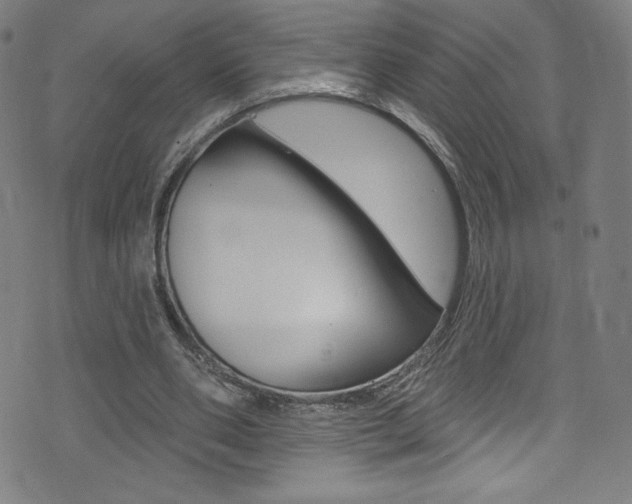 X0000072990486200607211035