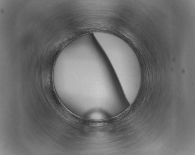 X0000072990499200607211034