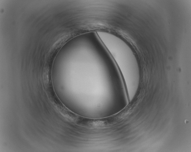 X0000072990501200607211034