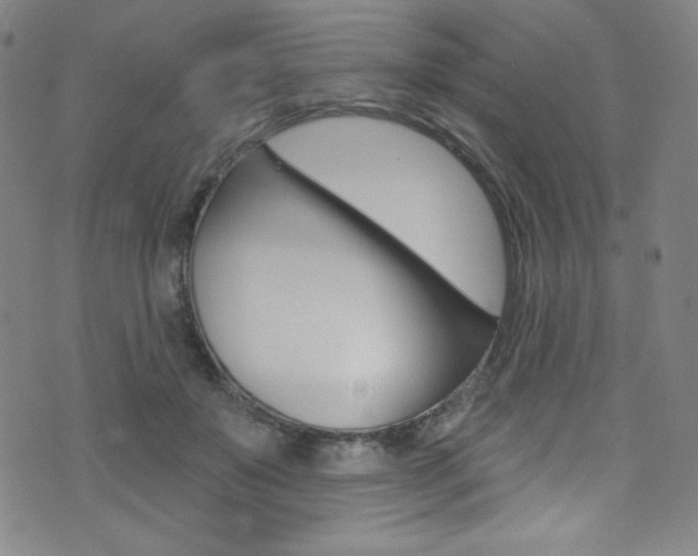 X0000072990503200607211034