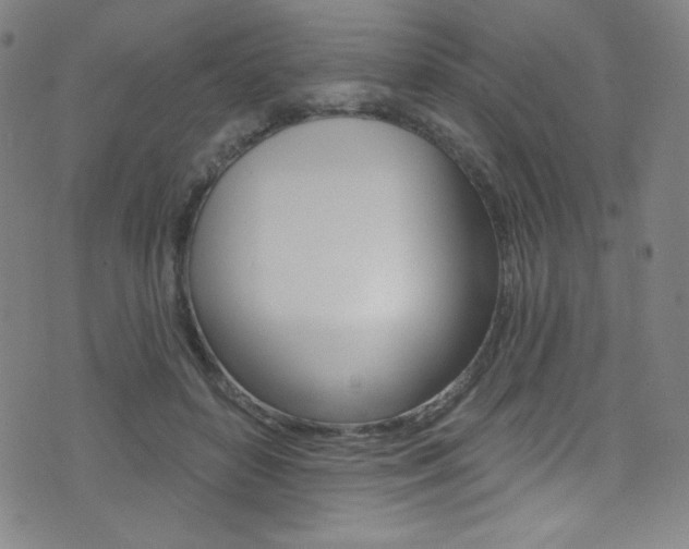X0000072990504200607211034