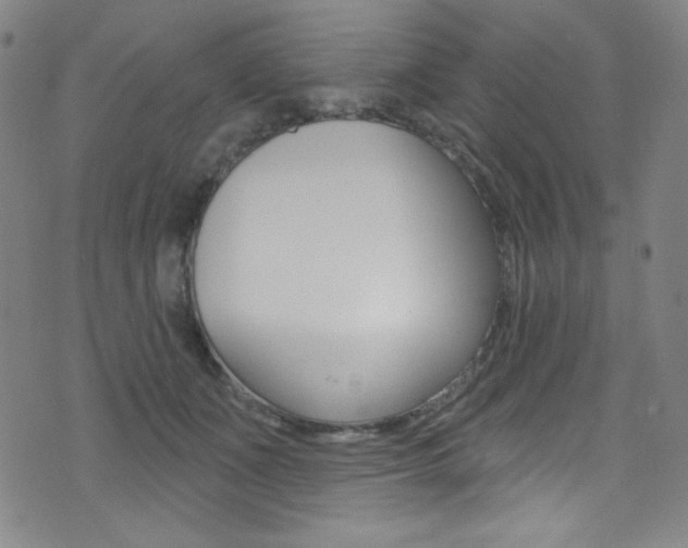 X0000072990511200607211034