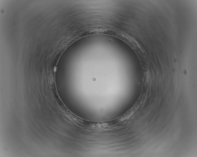 X0000072990517200607211034