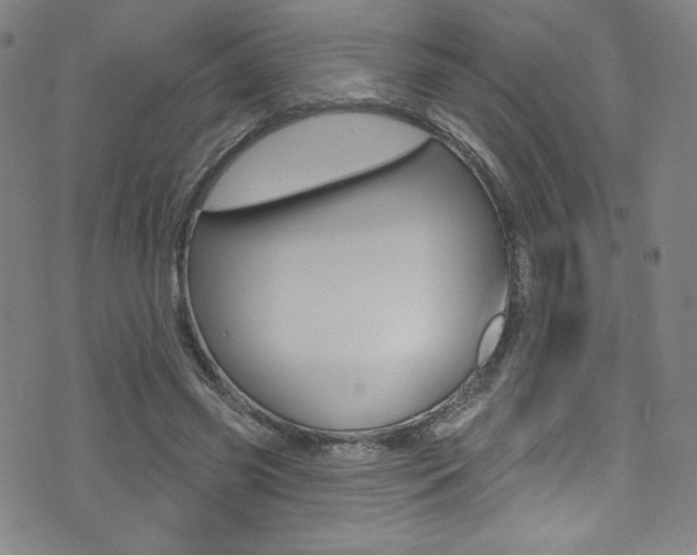 X0000072990541200607211033