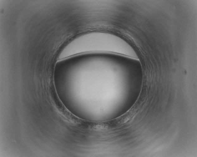 X0000072990546200607211033