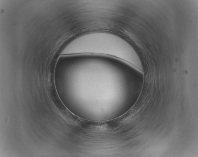 X0000072990548200607211033