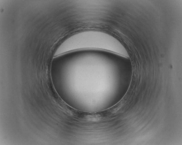 X0000072990556200607211034