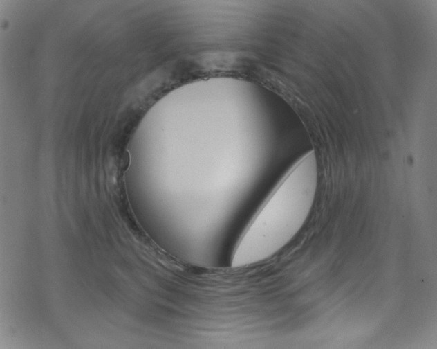 X0000072990567200607211034
