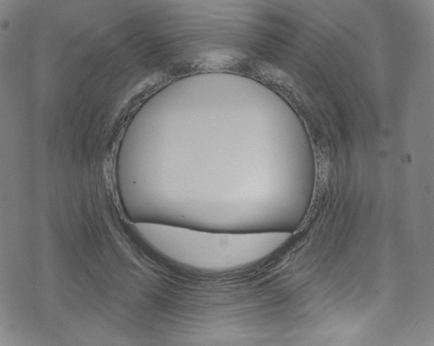 X0000072990591200607211033