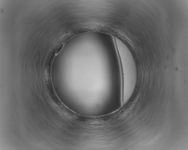 X0000072990597200607211033