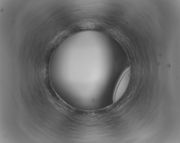 X0000072990600200607211033