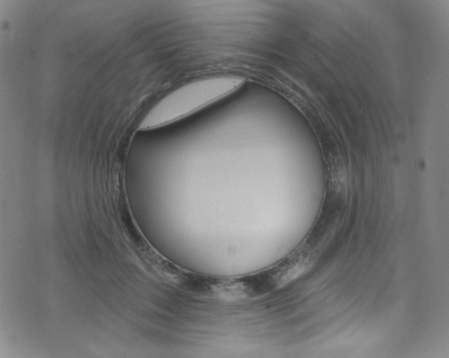 X0000072990603200607211033