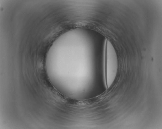 X0000072990608200607211033