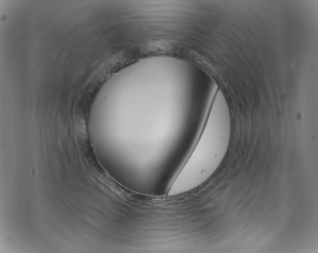 X0000072990617200607211032