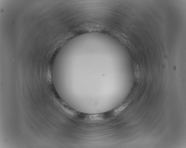 X0000072990622200607211032