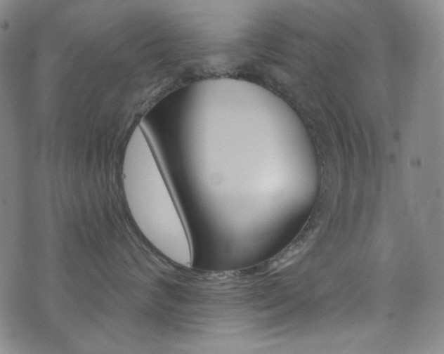 X0000072990624200607211032