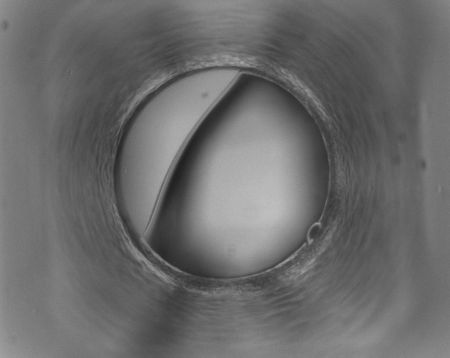 X0000072990625200607211031