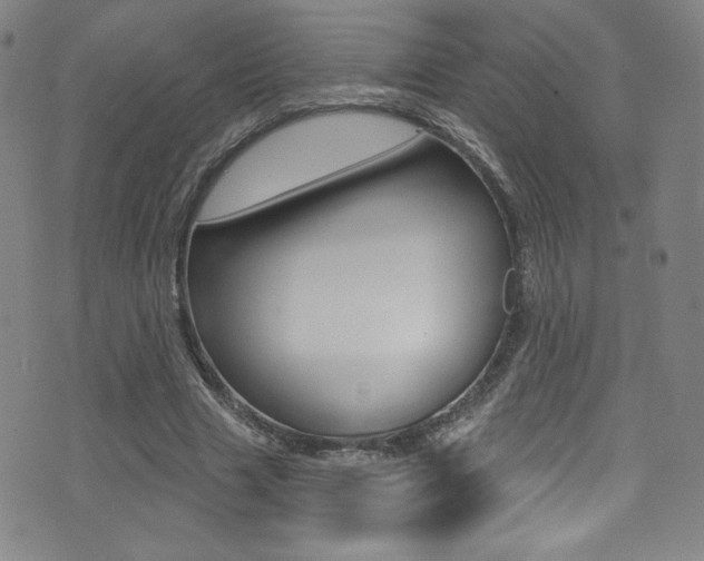 X0000072990633200607211032