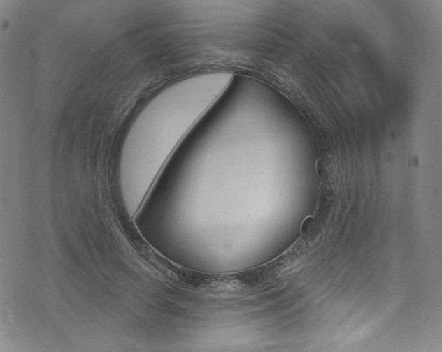 X0000072990642200607211032