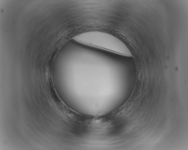 X0000072990647200607211032