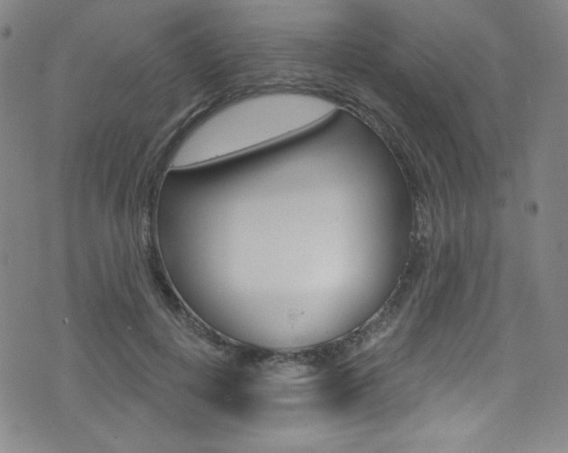 X0000072990648200607211032
