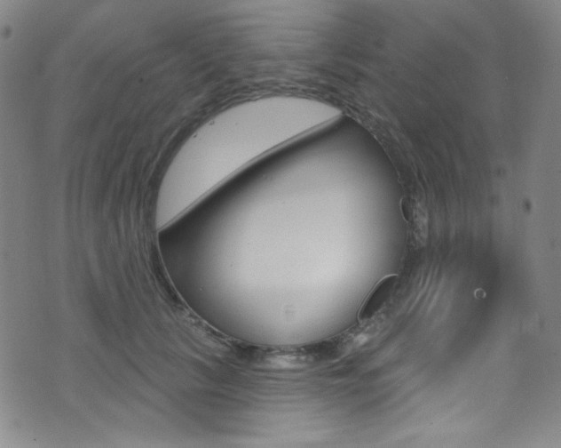 X0000072990657200607211032