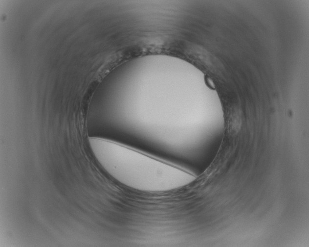 X0000072990661200607211032