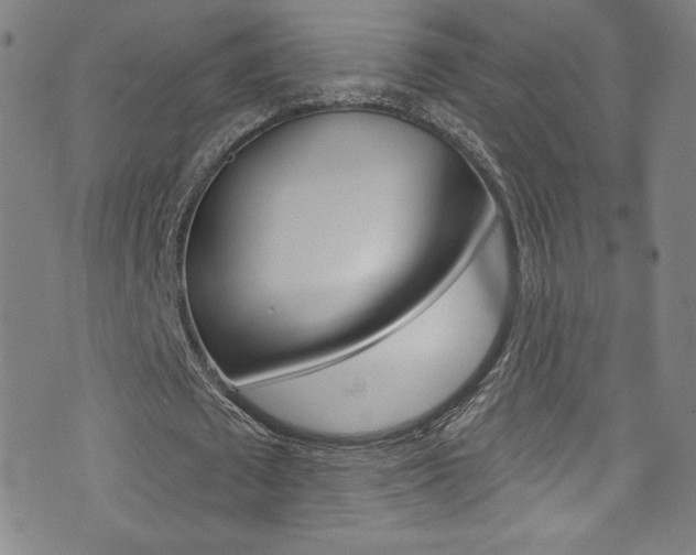 X0000072990673200607211031