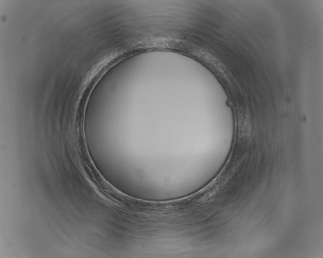 X0000072990674200607211031