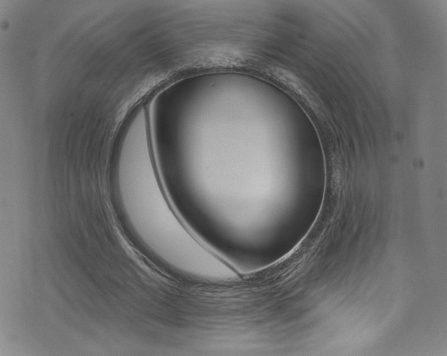 X0000072990677200607211031