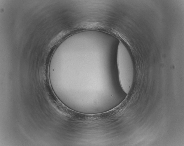 X0000072990682200607211031