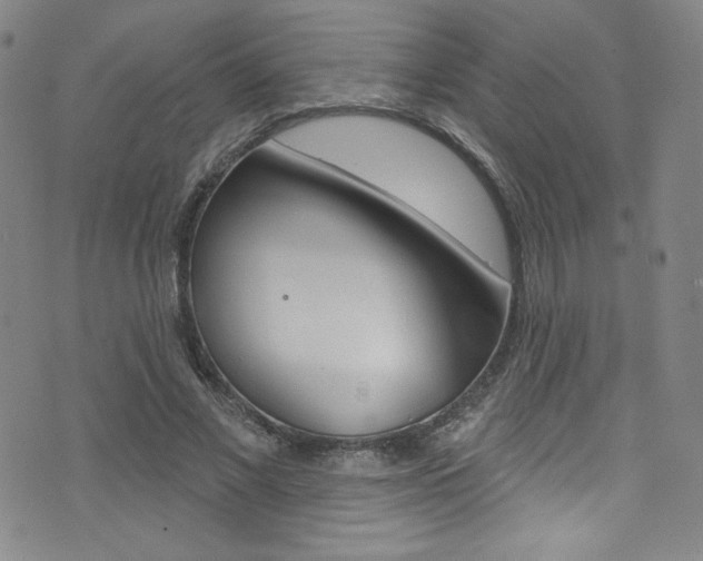 X0000072990685200607211031