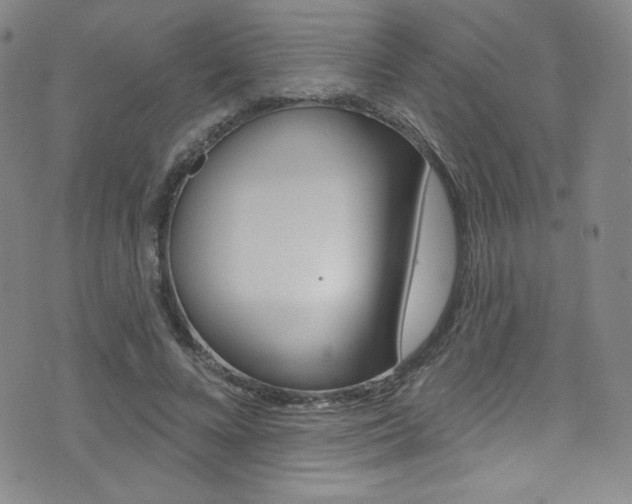 X0000072990688200607211031