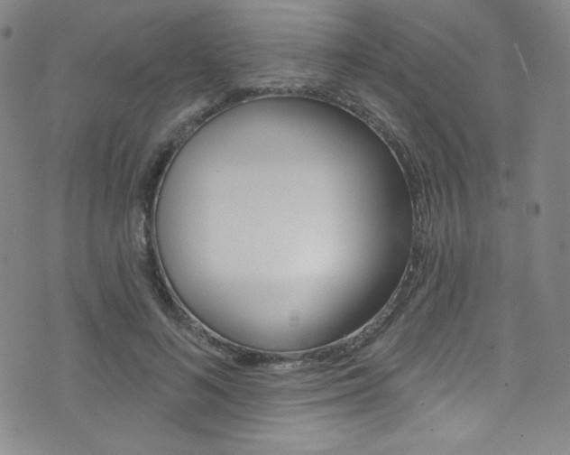 X0000072990692200607211031