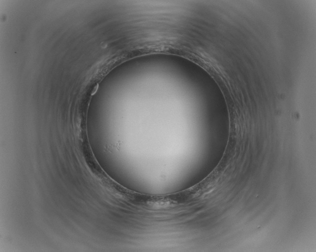 X0000072990693200607211031