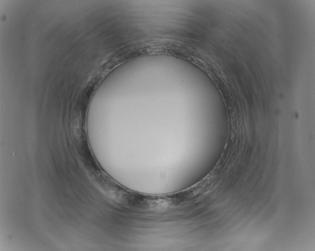 X0000072990698200607211031